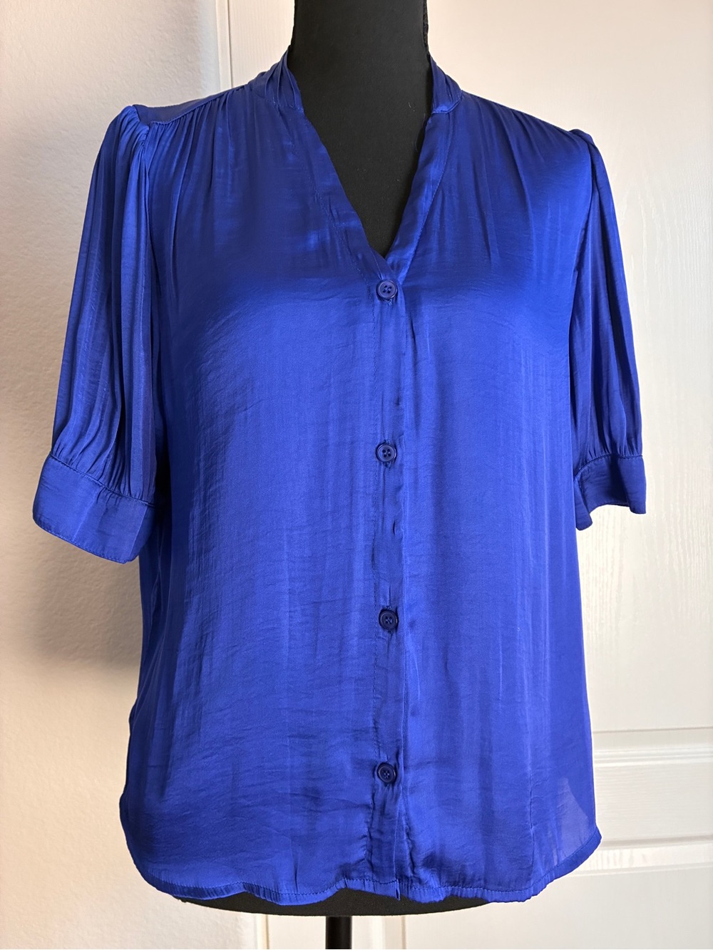 Premise Vibrant Cobalt Blue Top